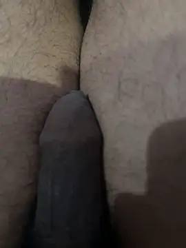 عرض كام Junglii_Billi