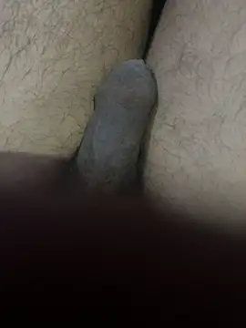 عرض كام Junglii_Billi