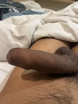 عرض كام Junglii_Billi