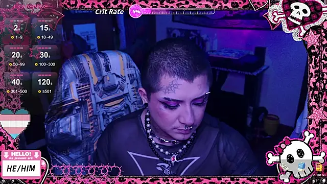 Show Webcam de masterkevinftm