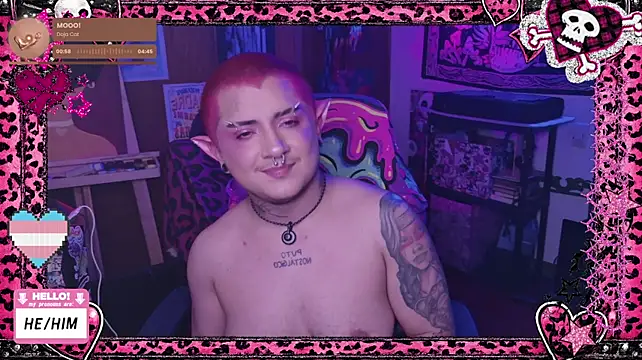 Show Webcam de masterkevinftm