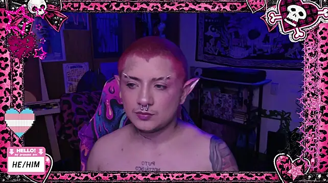 Show webcam de masterkevinftm