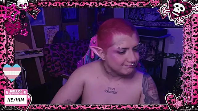 Show webcam de masterkevinftm