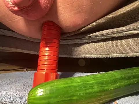 mesetti webcam show