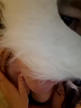 Show de SPrITZMAUS na webcam