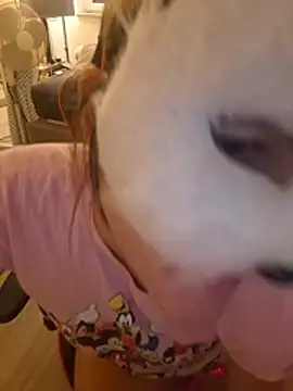 SPrITZMAUS' Webcam Show