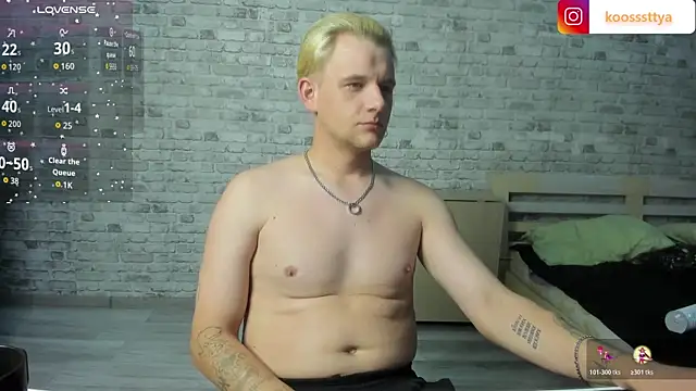 Show modela koosssttyaa na web-kameri