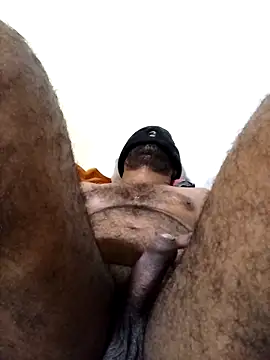 Show Webcam de Hiptonos