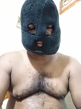 Show de Hiptonos na webcam