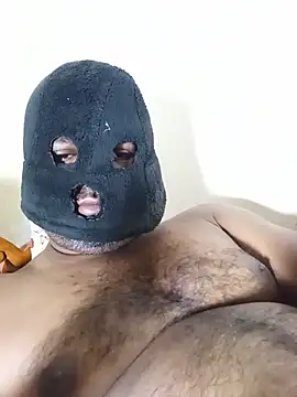 Hiptonos webkamerás műsora