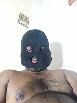 Hiptonos Show Webcam