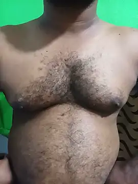 Hiptonosn Webbikameraesitys