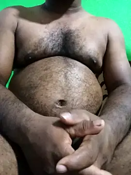 Hiptonosn Webbikameraesitys