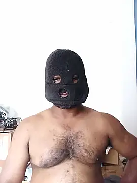 Hiptonos Show Webcam