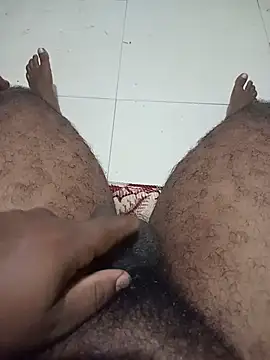 Show de Hiptonos na webcam