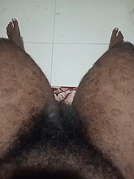 Show modela Hiptonos na web-kameri