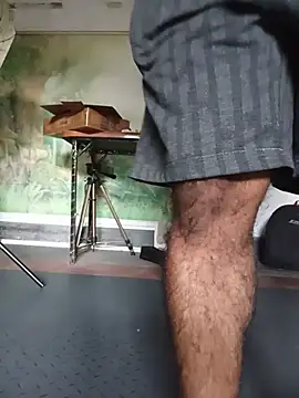 Hiptonos Show Webcam