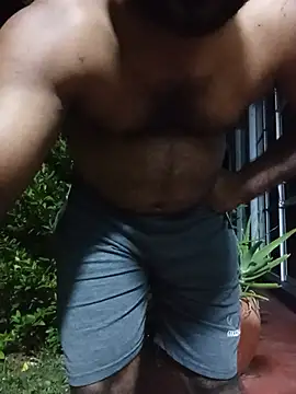 Hiptonos Show Webcam