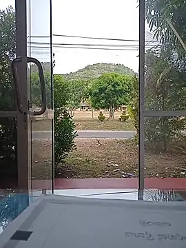 Show de Hiptonos na webcam
