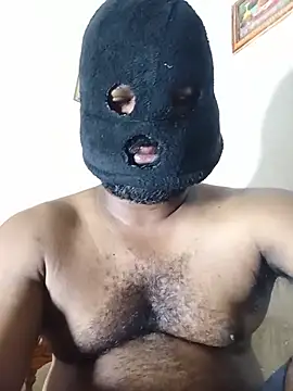 Show de Hiptonos na webcam