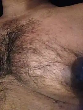 Hiptonosn Webbikameraesitys