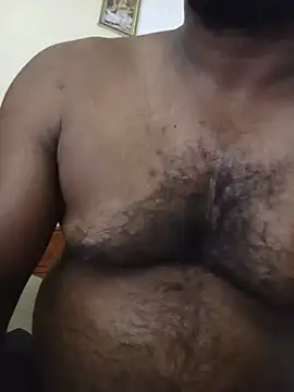 Hiptonosn Webbikameraesitys