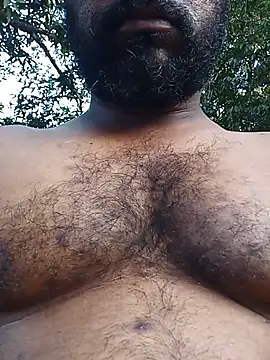 Hiptonosn Webbikameraesitys