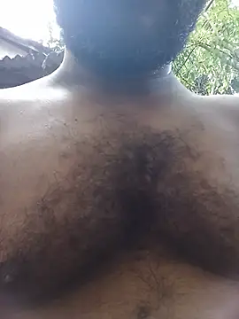 Hiptonos Webcamshow