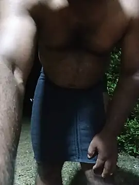 Hiptonosn Webbikameraesitys
