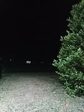 Hiptonosn Webbikameraesitys