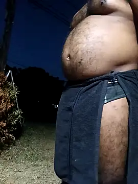 Hiptonosn Webbikameraesitys