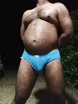 Hiptonosn Webbikameraesitys