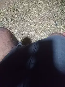 Hiptonos Show Webcam