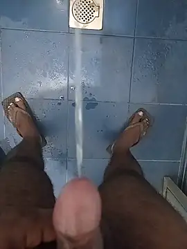 Hiptonos Webcamshow