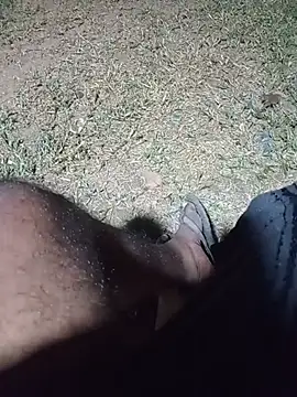 Hiptonos Webcam-Show
