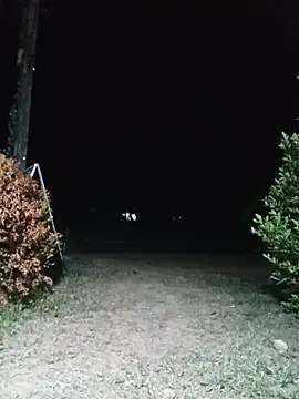Hiptonos Pertunjukan Webcam