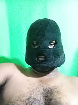 Show de Hiptonos na webcam