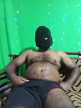 Hiptonosn Webbikameraesitys