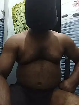 Hiptonos – webcam-show
