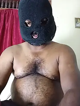 Hiptonos Show Webcam
