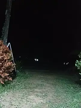 Hiptonos Webcamshow