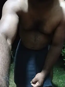 Hiptonosn Webbikameraesitys