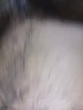 הופעת וובקאם של Hiptonos