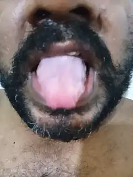 Show de Hiptonos na webcam