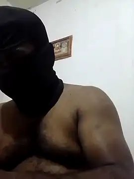 Hiptonosn Webbikameraesitys