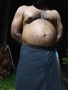 Hiptonosn Webbikameraesitys