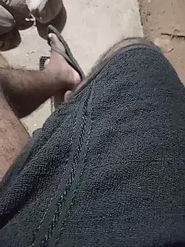 Hiptonosn Webbikameraesitys