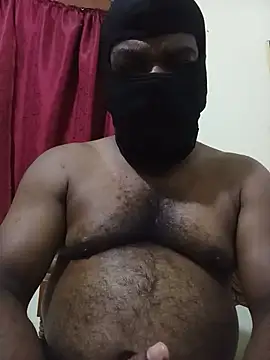 Hiptonos 网络视讯表演