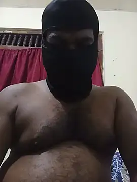 Show de Hiptonos na webcam