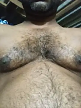 Hiptonos Pertunjukan Webcam